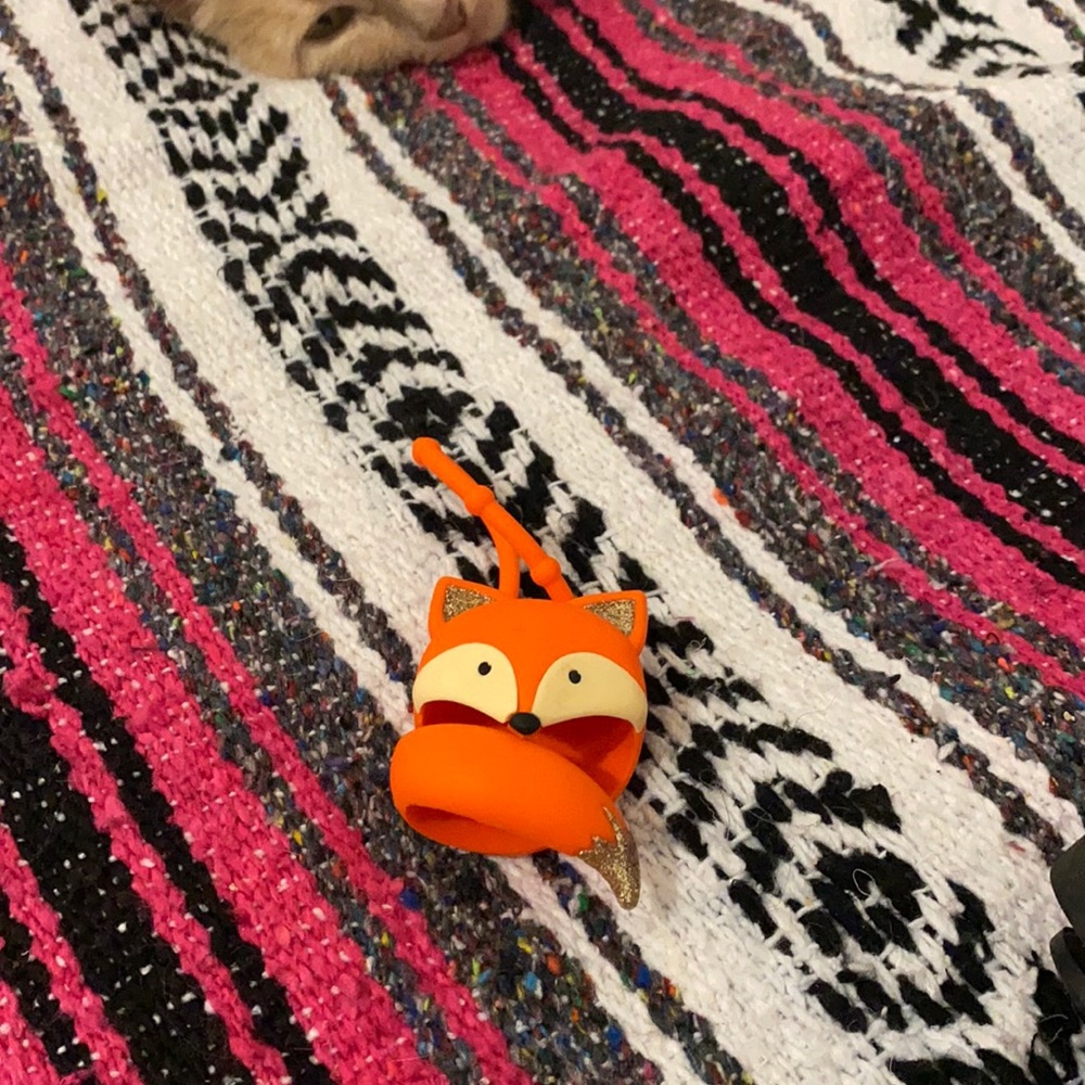 BBW sanitizer holder